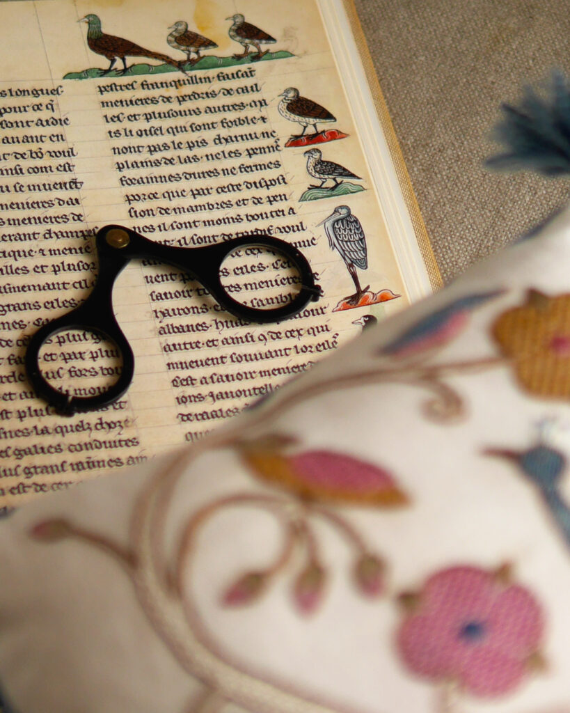 Détail d'un livre avec la reproduction d'une page de manuscrit médiéval avec pleins d'oiseaux, des lunettes médiévales sont posées sur la page.
En avant plan, un coussin brodé avec des oiseaux.