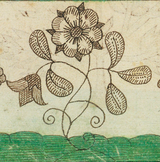 Détail d'une planche imprimée : c'est une rose stylisée dans le style de la renaissance gravée avec des hachures pour figurer les ombres.